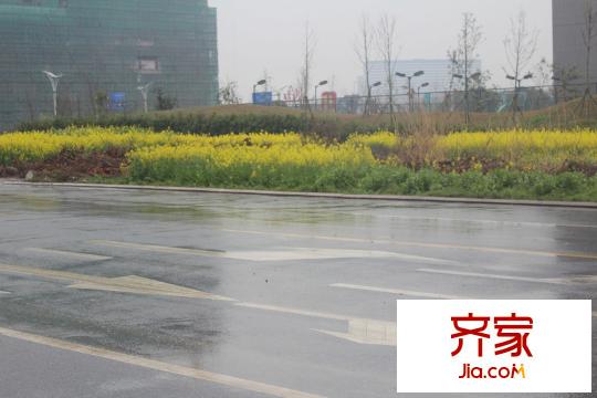 元一柏莊?現(xiàn)代廣場(chǎng)（2013.04.02）