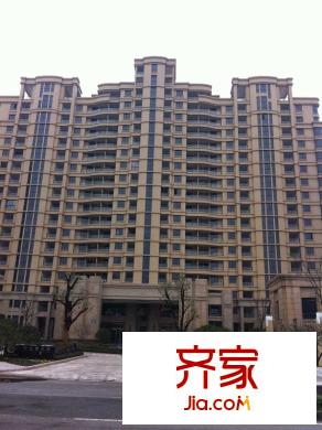 郁金香岸（2012-3-07）