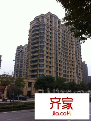 郁金香岸（2012-3-07）