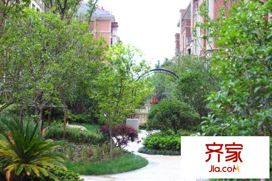 巨匠義圣名苑2013-6-9