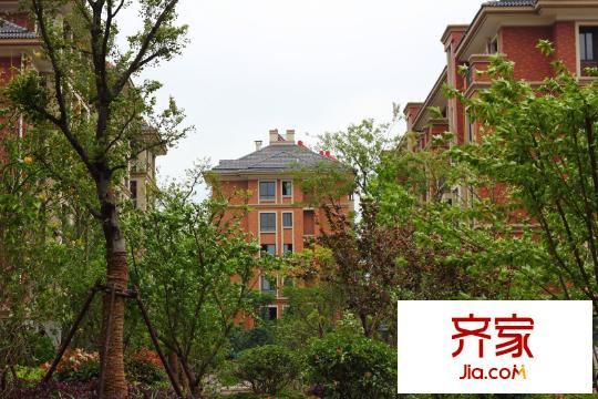 巨匠義圣名苑2013-6-9
