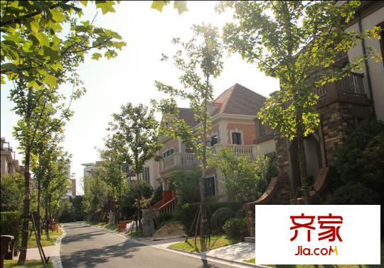 云間綠大地2013-7-30