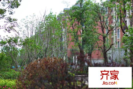 巨匠義圣名苑2013-6-9