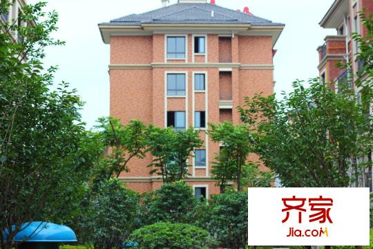 巨匠義圣名苑2013-6-9
