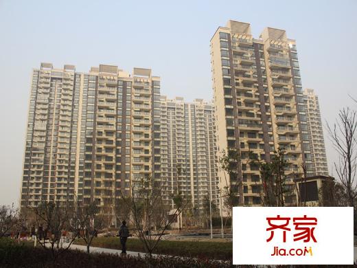 玫瑰恬園2014.1.21