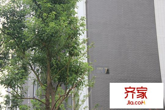 嘉富好第坊（2014-9-17）