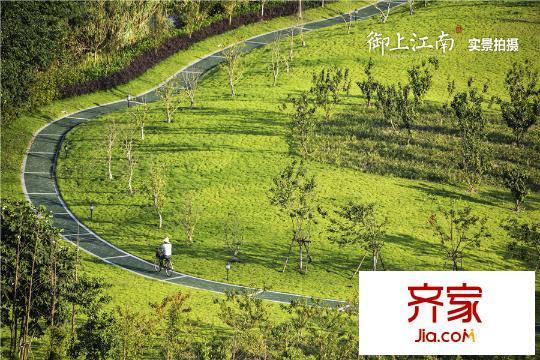 御上江南