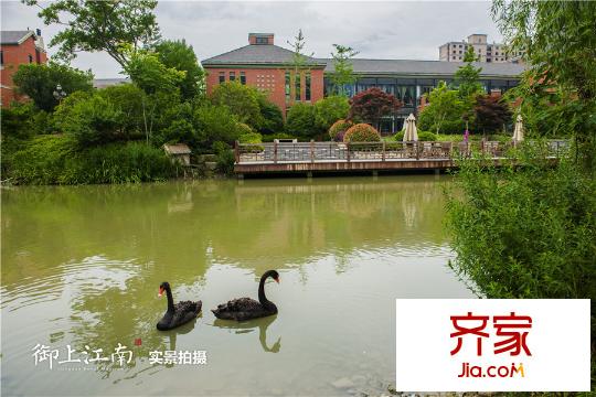 御上江南