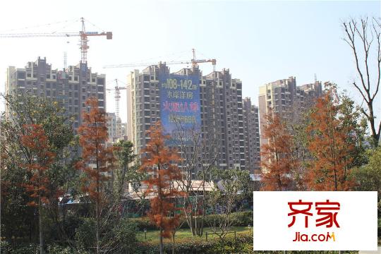 金洋?紫金藝境工程進(jìn)度圖（2015-12-17）