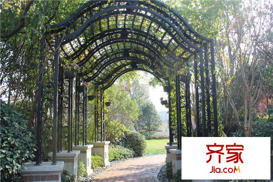 金洋?紫金藝境