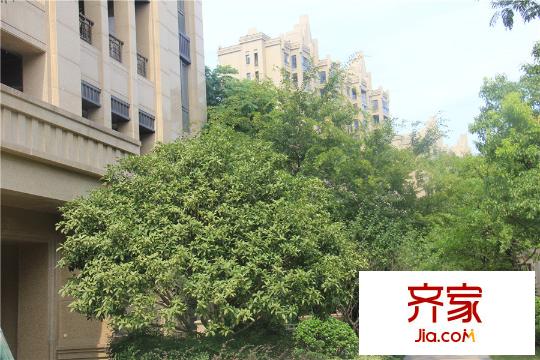 翠湖壹號(hào)（9.20）