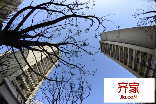 紫元?尚園工程進(jìn)度（2015.12.13）