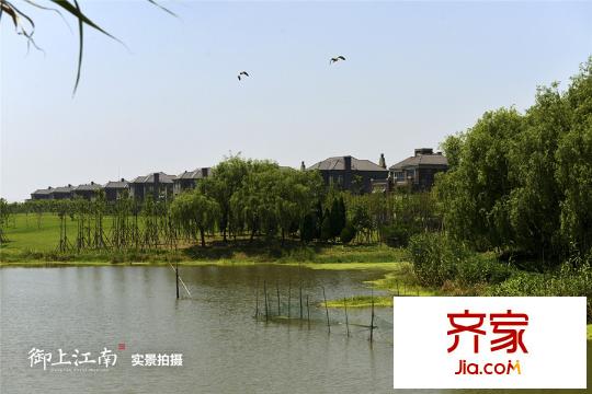 御上江南