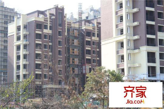 金洋?紫金藝境工程進(jìn)度圖（2015-12-17）