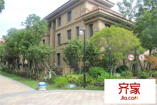 翠湖壹號(hào)（9.20）