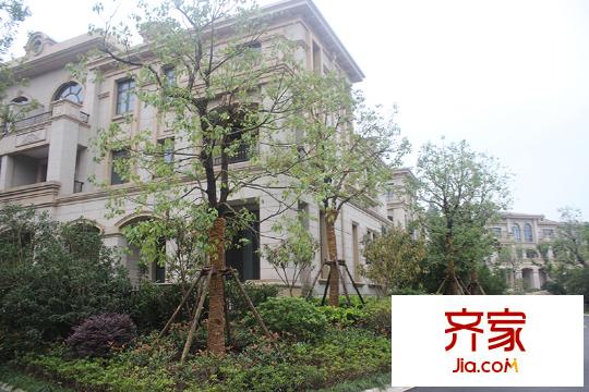 御華名都2014-9-18