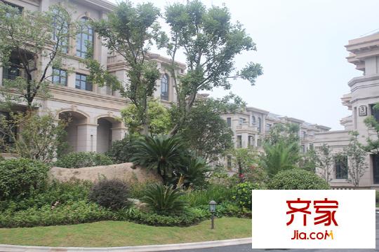 御華名都2014-9-18