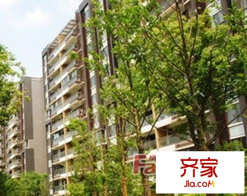 元一柏莊外景圖3