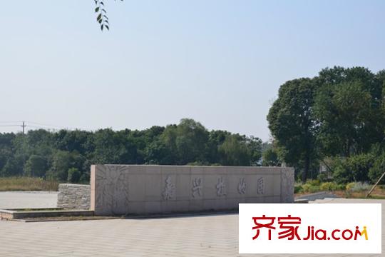 大樹(shù)?英格瀾植物園