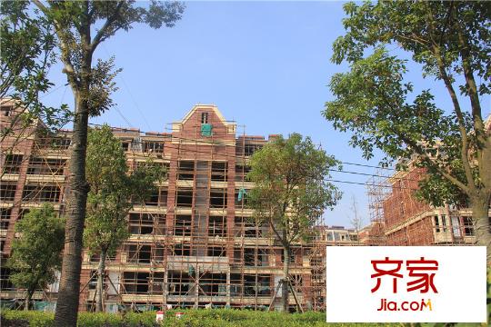 大樹?英格瀾工程進(jìn)度2015-10-22