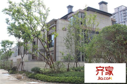 香港興業(yè)?御緹灣工程進(jìn)度（2015.9.10）