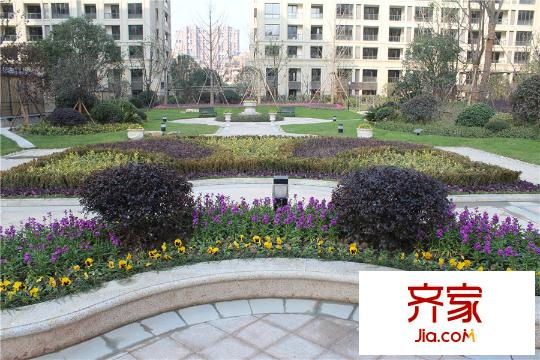 鉑金府邸一期綠化實(shí)景（2015.12.29）