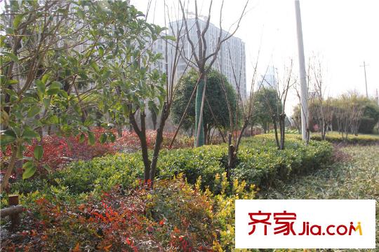鉑金府邸周邊配套景觀（2014-1-21）