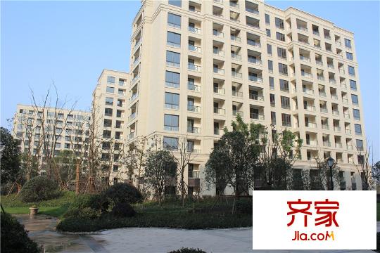鉑金府邸一期綠化實(shí)景（2015.12.29）