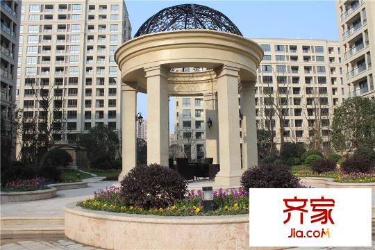鉑金府邸一期綠化實(shí)景（2015.12.29）
