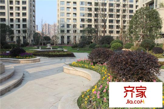 鉑金府邸一期綠化實(shí)景（2015.12.29）