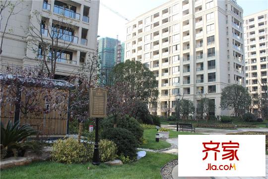 鉑金府邸一期綠化實(shí)景（2015.12.29）