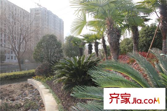 鉑金府邸周邊配套景觀（2014-1-21）