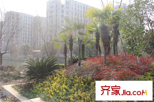 鉑金府邸周邊配套景觀（2014-1-21）
