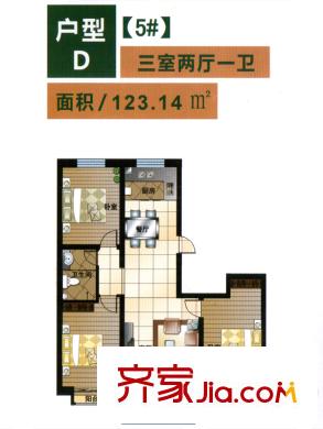 銀杏水岸5#樓三室兩廳一衛(wèi)123.14平方米D戶型圖 3室2廳1衛(wèi)