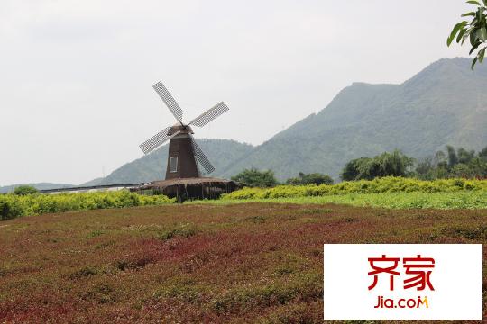 中航?維拉莊園百納莊園實(shí)景（2015-9-9）