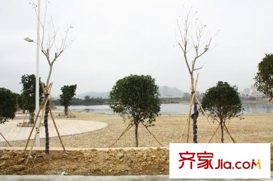 中洲中央公園別墅配套圖周邊金山湖一角
