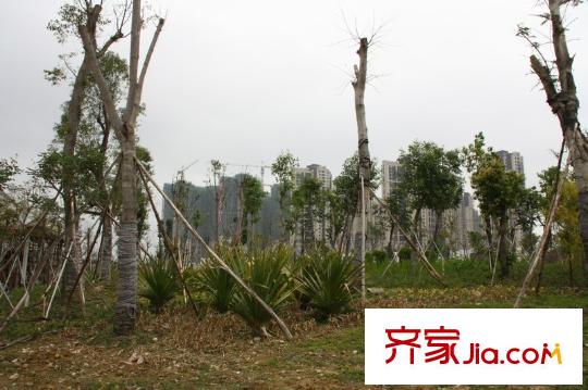 中洲中央公園別墅配套圖周邊金山湖一角