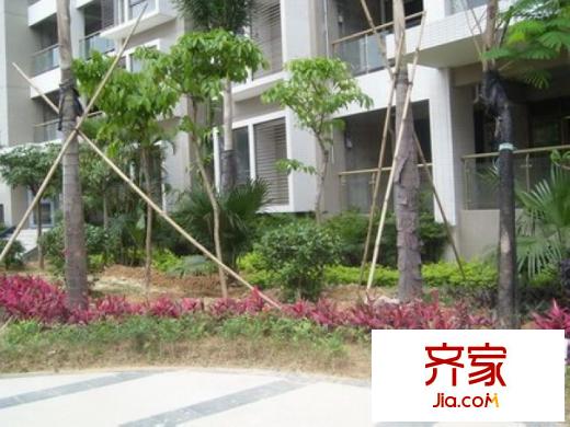 城市原筑實(shí)景圖小區(qū)園林實(shí)景20100925