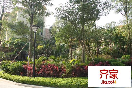 景億鳳凰谷實(shí)景圖小區(qū)園林實(shí)景20101119
