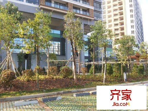 天安星河廣場(chǎng)外景圖 