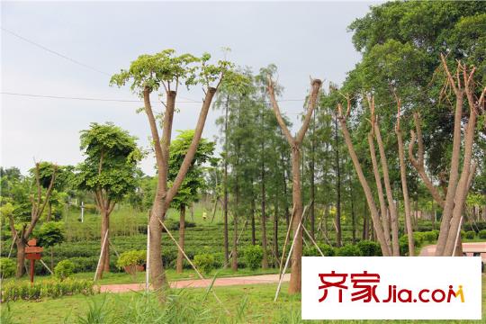 諾楠?悠山美地花園周邊400米潼橋公園