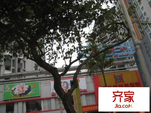 南星麗苑外景圖 
