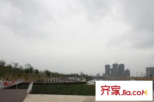 金山湖?丹荔園周邊配套金山湖公園一角