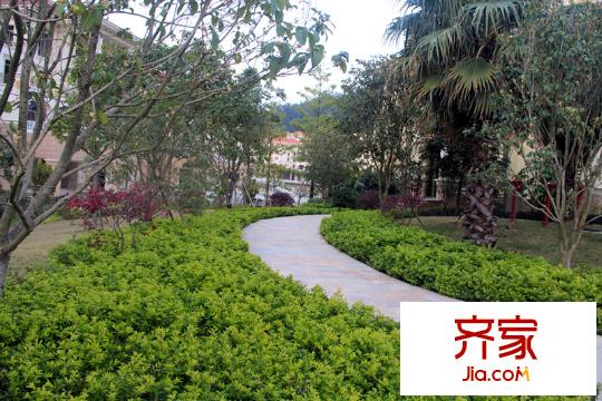 嘉逸園小區(qū)園林20140219