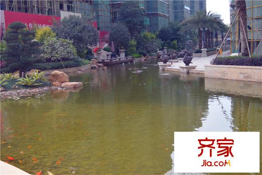 嘉旺城小區(qū)人工湖（2015-12-01）