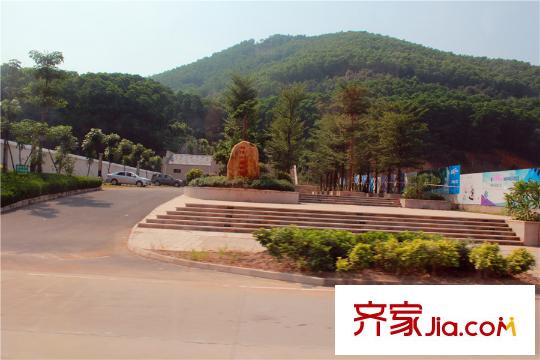 夏日南庭二期周邊龍山六路板章嶺森林公園