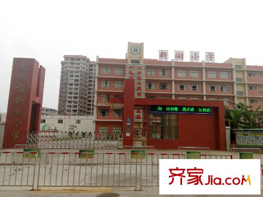 陽光新苑新湖小學(xué)20150507