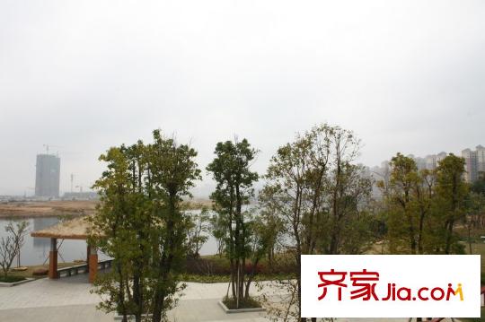御水豪庭對面金山湖公園小廣場
