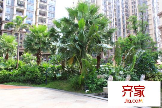 德威摩卡小鎮(zhèn)一期綠化20150729