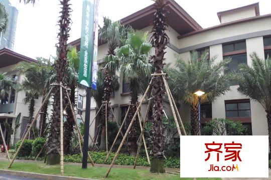 惠陽雅居樂花園園林（2015-12-5）